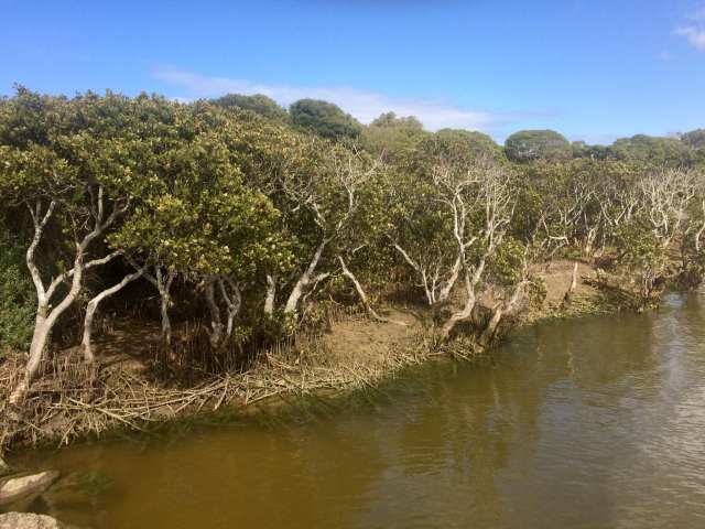 83802201_2966841826693920_8062624337330438144_o