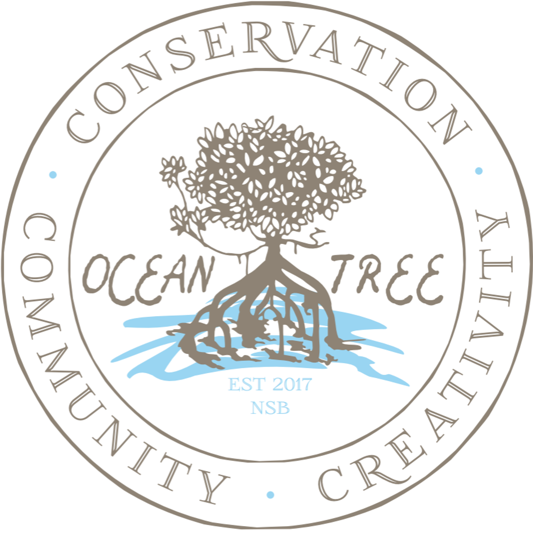 23632502_163762900884818_2380136781629595529_o