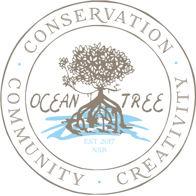 23632502_163762900884818_2380136781629595529_o