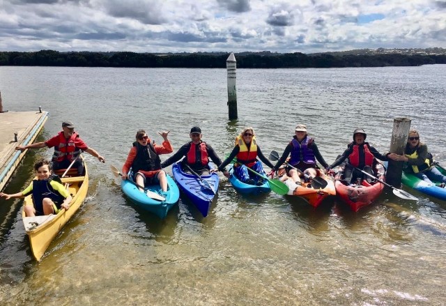 Mangroves from the Water Artists