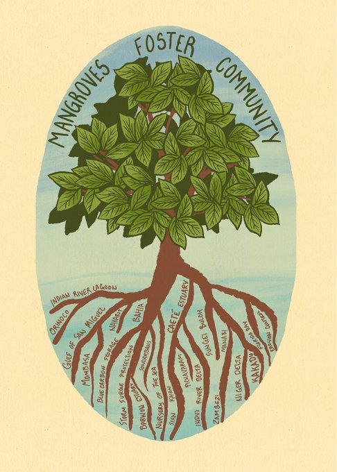 Mangroves Foster Community